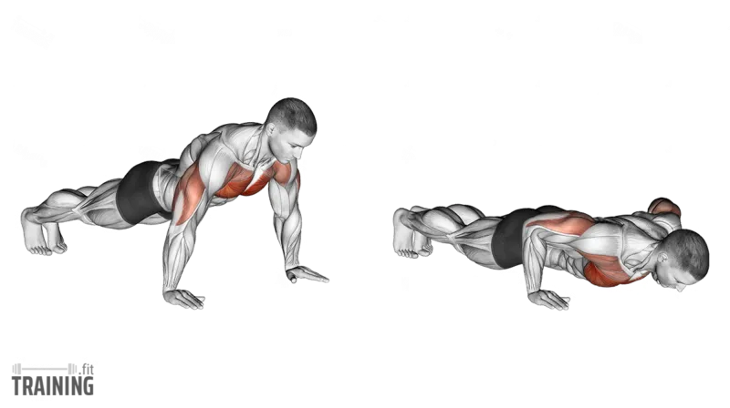 Tricep Pushdown